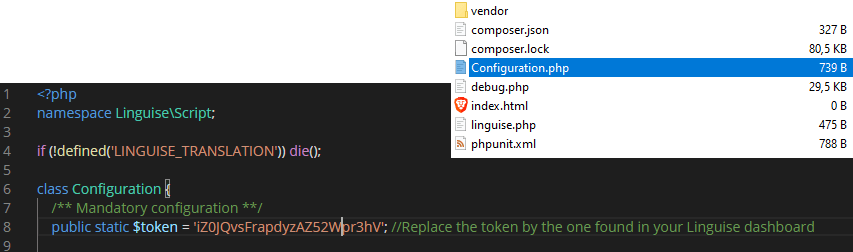 linguise linguise -api-key