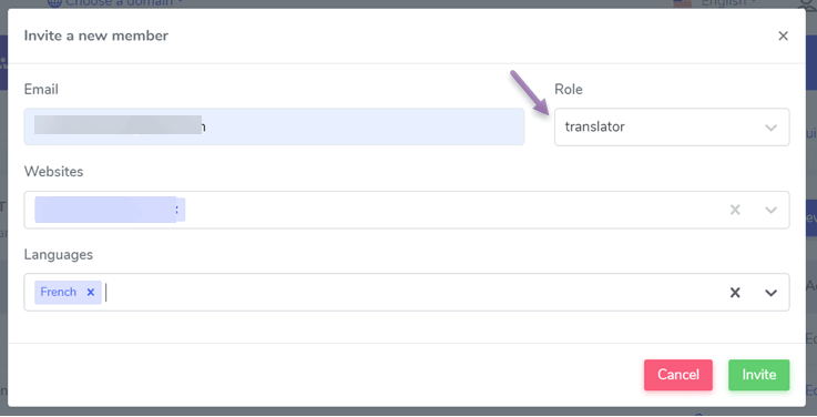 Come correggere le bozze delle traduzioni automatiche del tuo sito Web: inserisci e-mail, sito Web, scegli la lingua