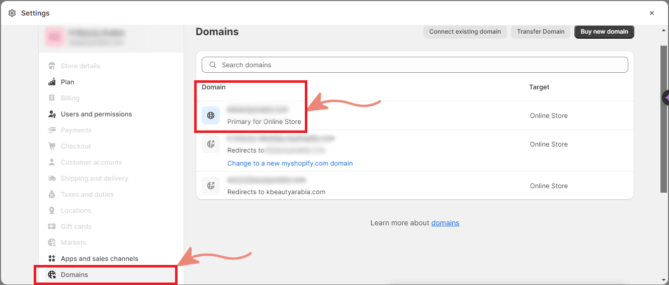 shopify-domain-settings