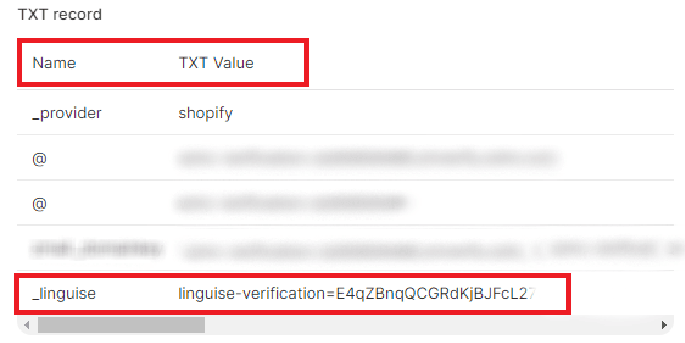 txt-record- shopify