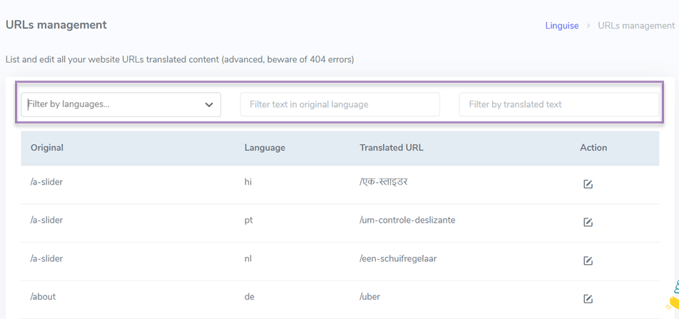 多语言 SEO：提高可见性的 10 多个技巧 - 过滤器 url 翻译