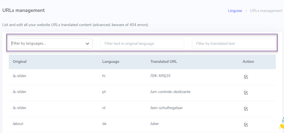 SEO multilingue: oltre 10 suggerimenti per migliorare la traduzione dell&#39;URL con filtro di visibilità