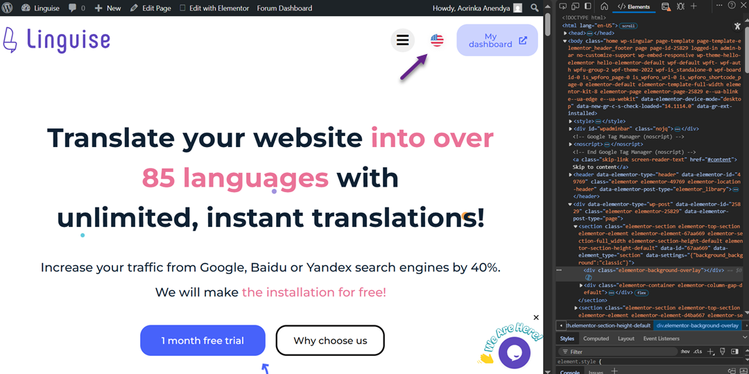 Ảnh chụp màn hình xem trang web Linguise trên màn hình máy tính.