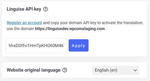 paste API key - build multilingual landing pages