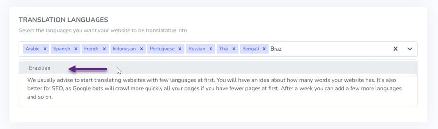 Langue et drapeau brésilien maintenant disponibles sur le tableau de bord Linguise et les intégrations CMS