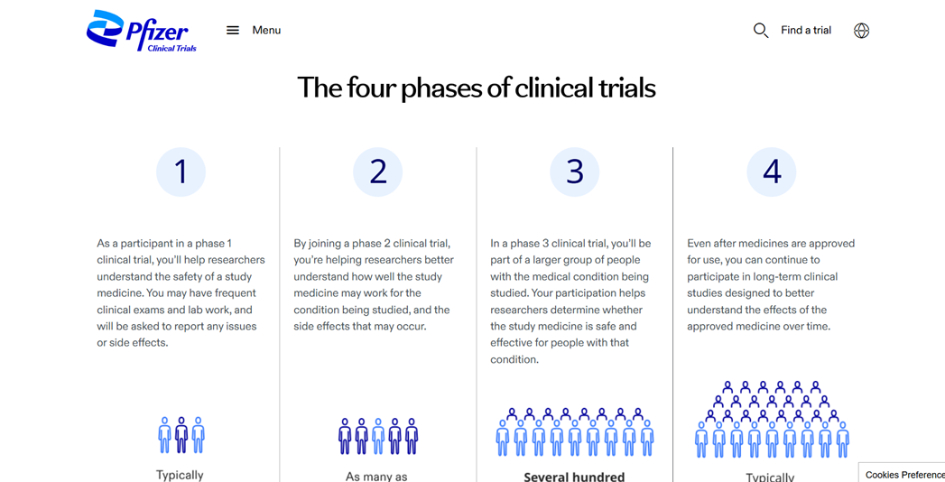 Healthcare Web Sitesi Çevirisi: Uyum ve Terminoloji