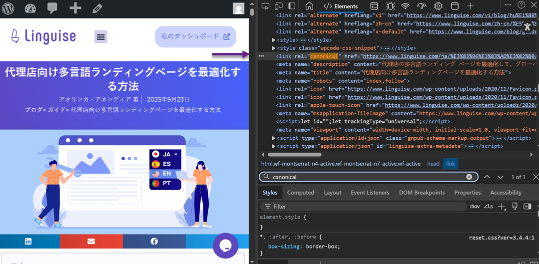 How to fix canonical tag conflicts on multi-domain translated websites